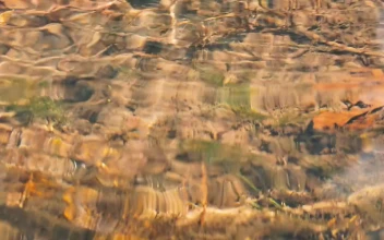 Free Video Stock Stones Underwater In Creek