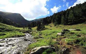 Free Video Stock Stream Crossing A Beautiful Calm Forest