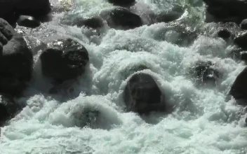 Free Video Stock Stream Flowing Between The Rocks