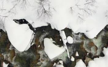 Free Video Stock Stream Flowing Between The Snow