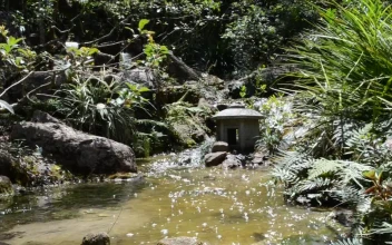 Free Video Stock Stream Flowing Gently