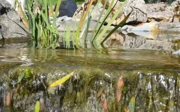 Free Video Stock Stream Flowing Over Rocks