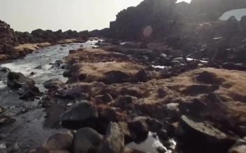 Free Video Stock Stream Flowing Through Moss