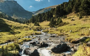 Free Video Stock Stream Through A Beautiful Valley