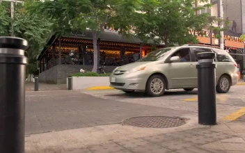 Free Video Stock Street Corner With Traffic