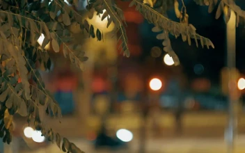 Free Video Stock Street Lights Late At Night