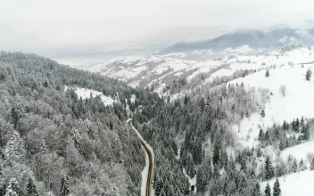 Free Video Stock Stunning Frozen Landscape In The Woods