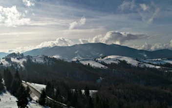 Free Video Stock Stunning Landscape Over A Cold Forest
