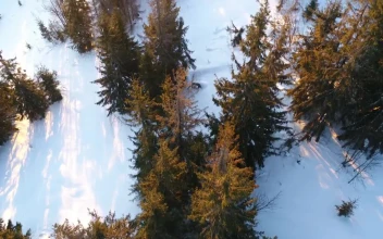 Free Video Stock Stunning Sunrise In A Winter Environment