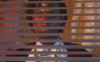 Free Video Stock Stylish Lgbtq Man Looking Through A Blind