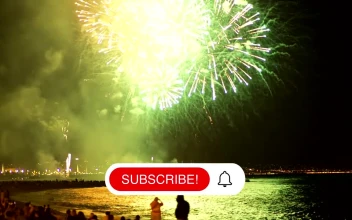Free Video Stock Sub Button With Notification