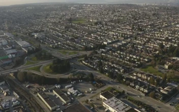 Free Video Stock Suburbs From Above