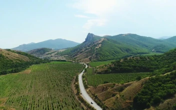 Free Video Stock Summer Landscape And Road