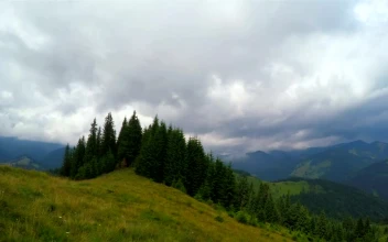 Free Video Stock Summer Mountains Landscape
