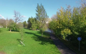 Free Video Stock Summer Over A Residential Area