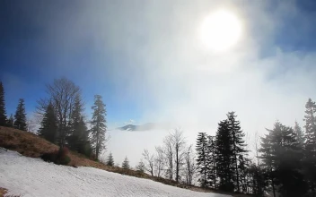 Free Video Stock Sun Flare On The Top Of A Foggy Winter Forest