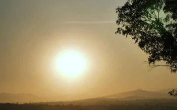 Free Video Stock Sun In The Sky And Silhouette Of A Tree