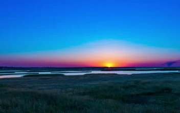 Free Video Stock Sun In The Skyline In The Field With A Clear