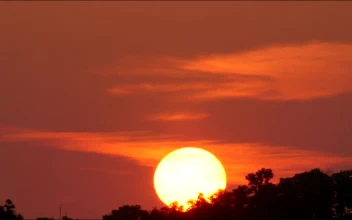 Free Video Stock Sun Setting Behind A Forest