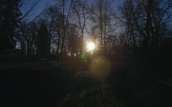 Free Video Stock Sun Shining Over A Park In Madrid