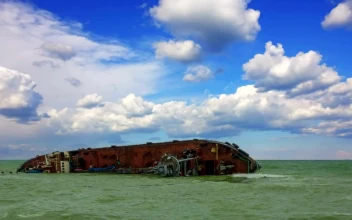 Free Video Stock Sunken Ship On The Seashore