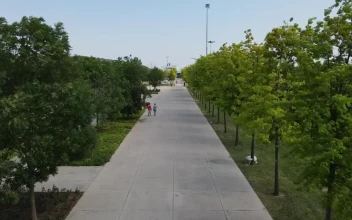Free Video Stock Sunny Park With Trees And People From The Air