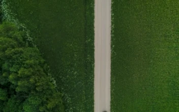 Free Video Stock transport truck on a road in the green countryside