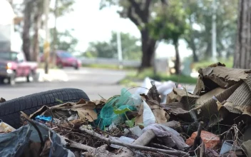 Free Video Stock trash pile on the street on a sunny day