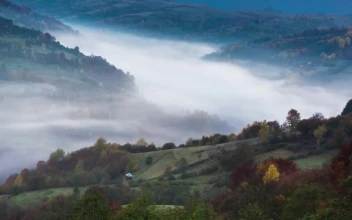 Free Video Stock sunrise in the mountains during fall