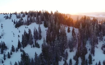 Free Video Stock sunrise in the skyline at snowy mountains
