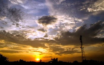 Free Video Stock sunrise over palms