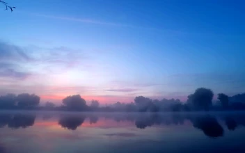 Free Video Stock sunrise with beautiful colors fog and the lake