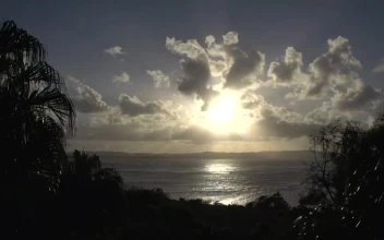 Free Video Stock sunset between the trees over the bay
