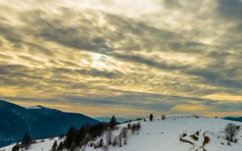 Free Video Stock sunset over a cloudy sky in a winter forest time lapse