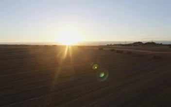Free Video Stock sunset over harvested fields