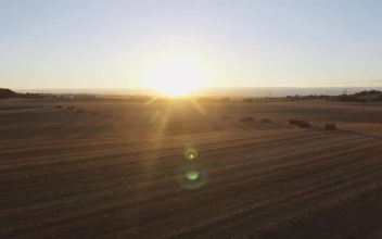 Free Video Stock sunset over harvested mountain fields