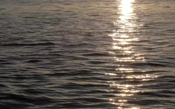 Free Video Stock sunset reflecting on ocean ripples