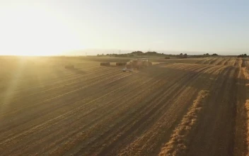 Free Video Stock sunset while a tractor works