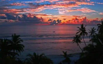 Free Video Stock sunset with sailing boats