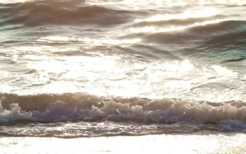 Free Video Stock sunshine reflecting on waves