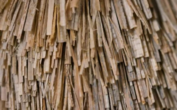 Free Video Stock superimposed layers of thin wooden strips