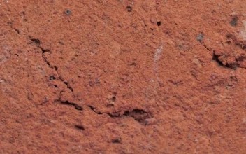 Free Video Stock surface texture of a red rock