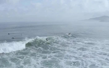 Free Video Stock surfer catching a wave form above
