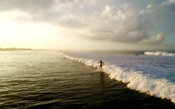 Free Video Stock surfer riding sunlit wave in slow motion