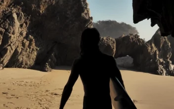 Free Video Stock surfer walking on the beach holding his board
