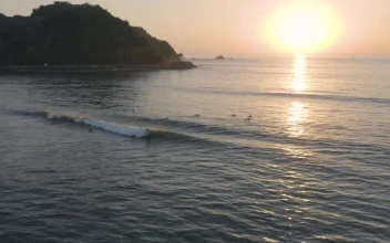Free Video Stock surfers on waves of a beach from above