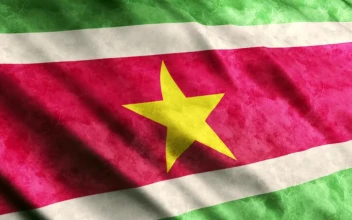 Free Video Stock suriname flag while waving full screen