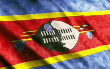 Free Video Stock swaziland flag d render