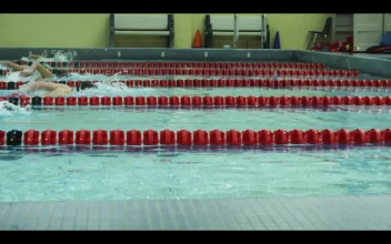 Free Video Stock swimming competition in an olympic pool