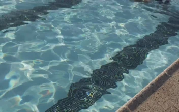 Free Video Stock swimming slowly along the pool